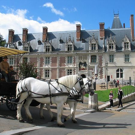 Blois City - Le Petit Saint Jean ภายนอก รูปภาพ