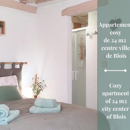 Blois City - Le Petit Saint Jean ภายนอก รูปภาพ