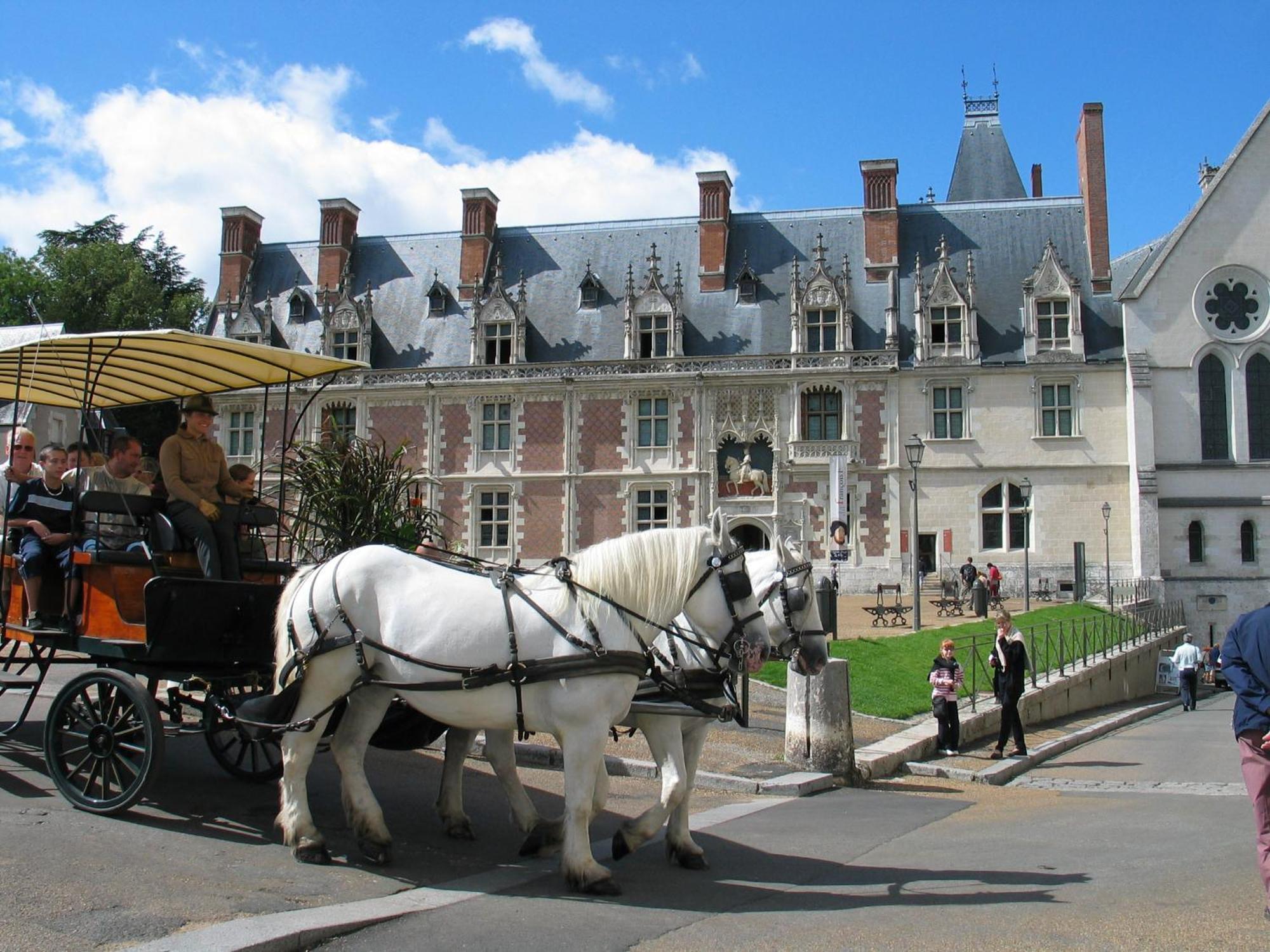 Blois City - Le Petit Saint Jean ภายนอก รูปภาพ